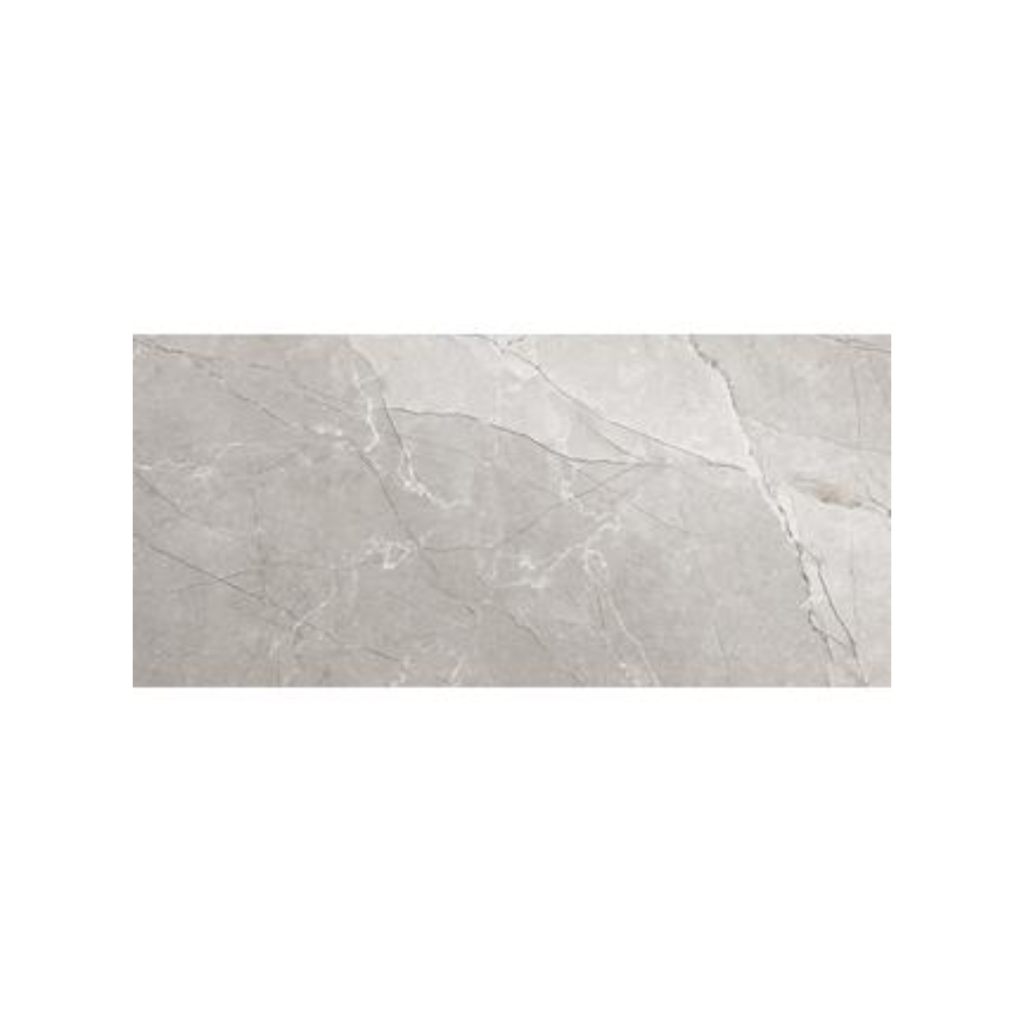 Alesia Grey 60x120 Πλακάκι Δαπέδου