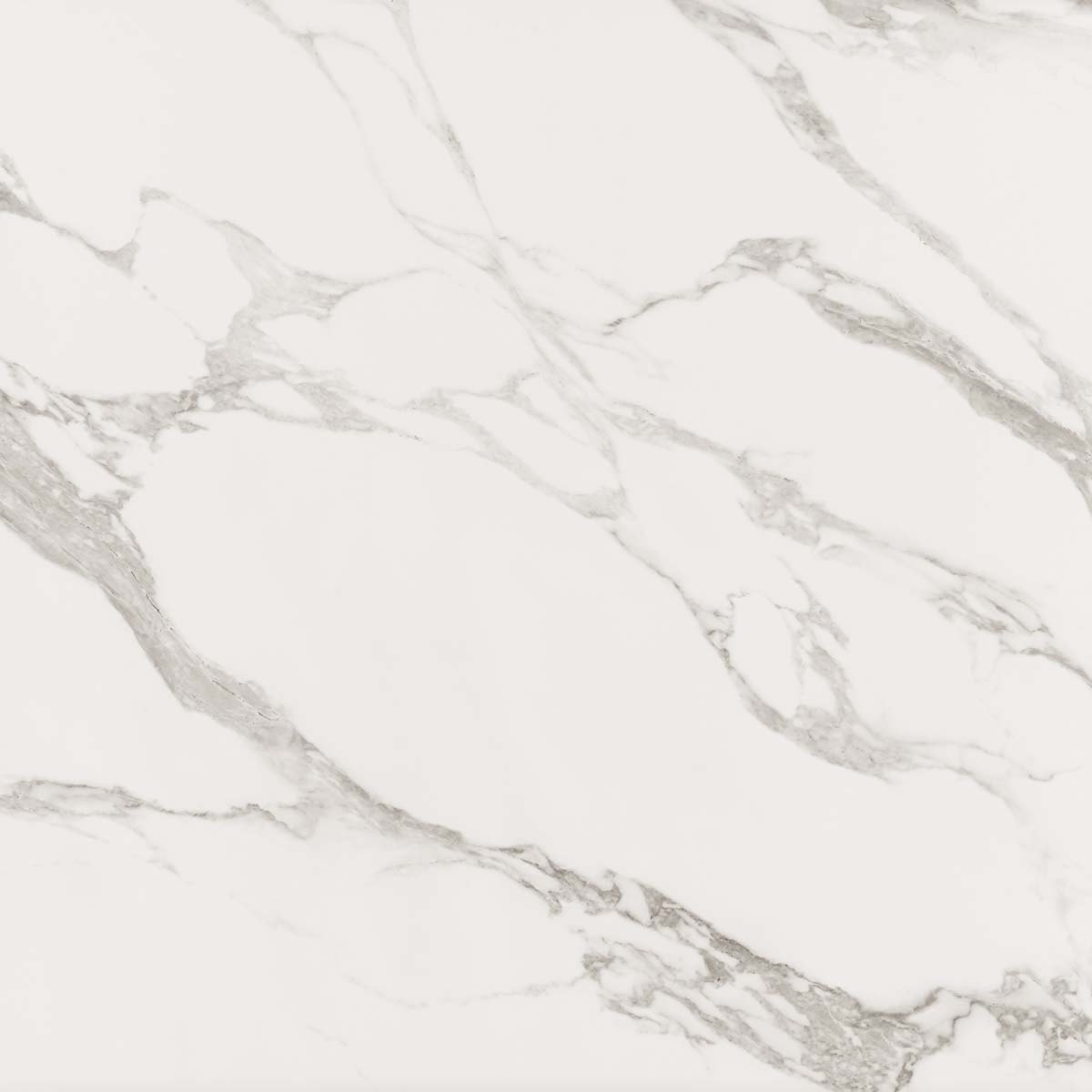CARRARA WHITE PULIDO 120X120